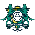 龍仁FC